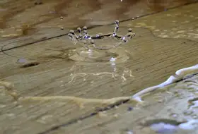 Wasserschaden in Wohnung